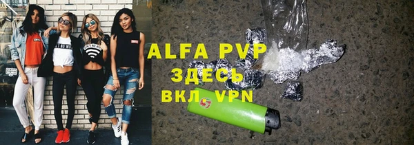 амф Верея