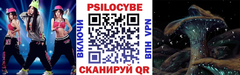 Псилоцибиновые грибы мицелий Дно