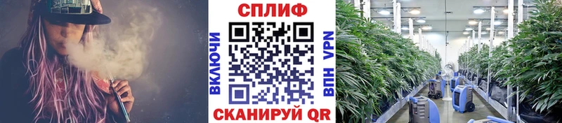 Марихуана SATIVA & INDICA  Дно 